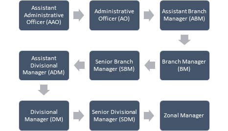 LIC AAO Career Progression