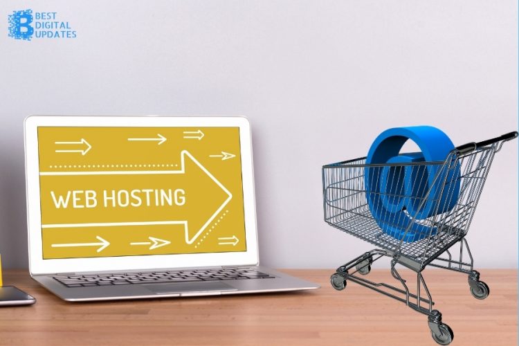 Web Hosts for your Ecommerce Site
