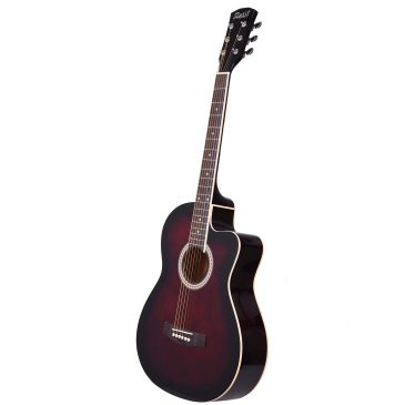 Motif Professional Acoustic Guitar