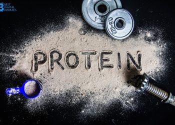 Protein Powder