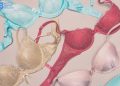 Fashionable Bra