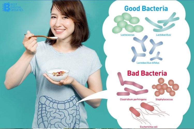 Good Bacteria For Health