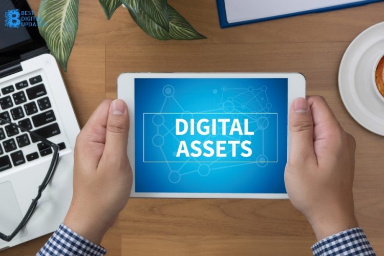Protect Your Digital Assets