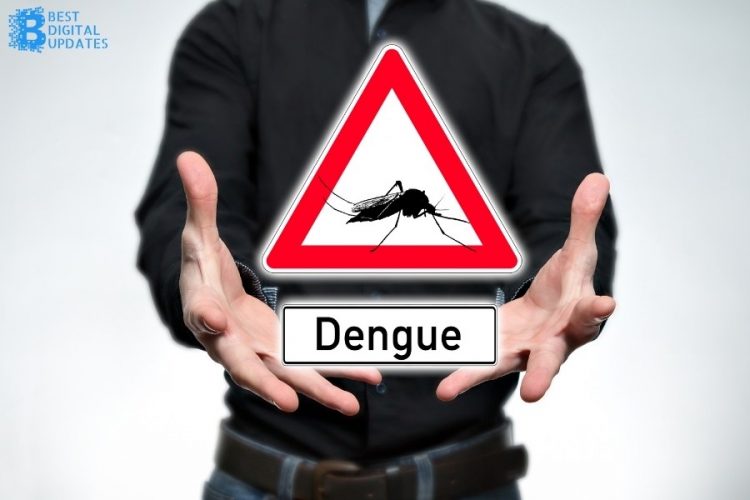 Quick Idea about Dengue and Its Symptoms