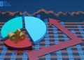 Leadership Economics: Does it have Additional Value?