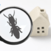 Understanding The Type of Damage Termites Can Do To Your House