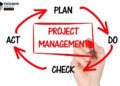 Prince2 vs Pmp: What Are the Differences?