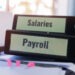 How to Report Payroll Taxes to the IRS