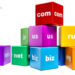 What is Domain Name?
