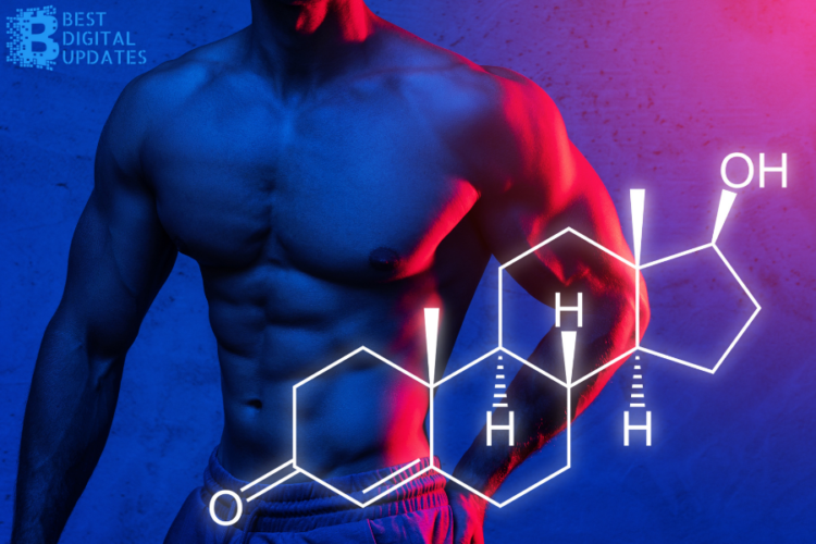 How to Find the Best Natural Testosterone Boosters