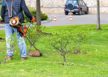 How to Tackle Weeds Without Breaking a Sweat