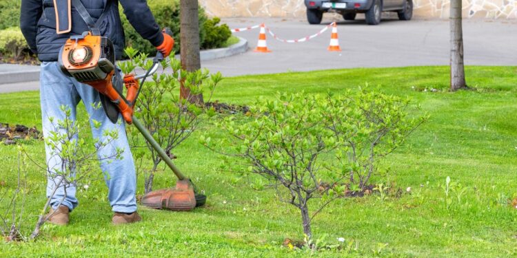 How to Tackle Weeds Without Breaking a Sweat