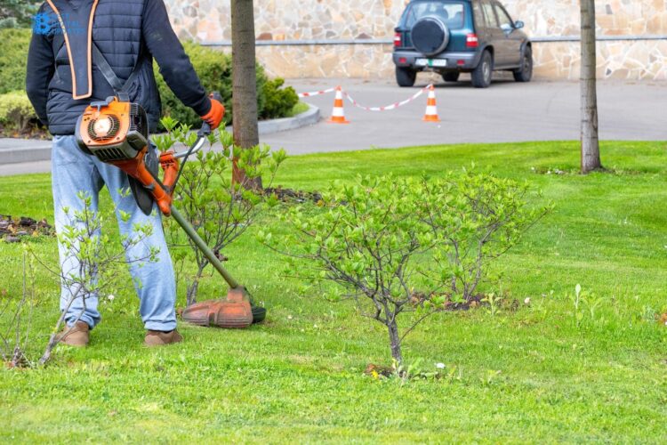 How to Tackle Weeds Without Breaking a Sweat